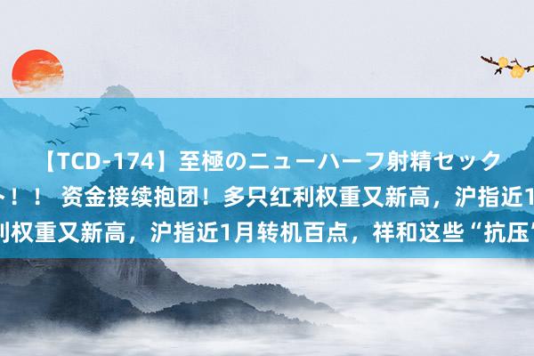 【TCD-174】至極のニューハーフ射精セックス16時間 特別版ベスト！！ 资金接续抱团！多只红利权重又新高，沪指近1月转机百点，祥和这些“抗压”标的