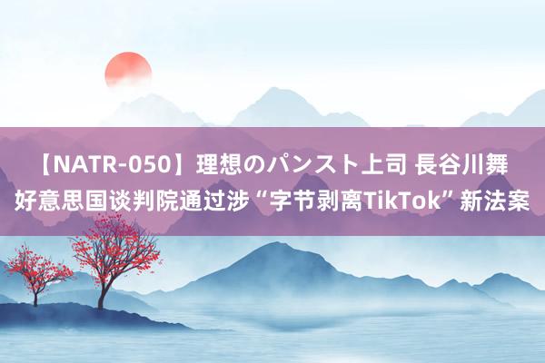 【NATR-050】理想のパンスト上司 長谷川舞 好意思国谈判院通过涉“字节剥离TikTok”新法案