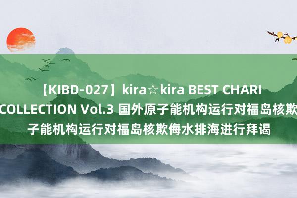 【KIBD-027】kira☆kira BEST CHARISMA☆MODEL☆COLLECTION Vol.3 国外原子能机构运行对福岛核欺侮水排海进行拜谒