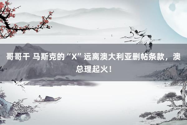 哥哥干 马斯克的“X”远离澳大利亚删帖条款，澳总理起火！