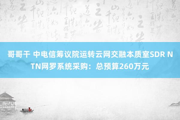 哥哥干 中电信筹议院运转云网交融本质室SDR NTN网罗系统采购：总预算260万元