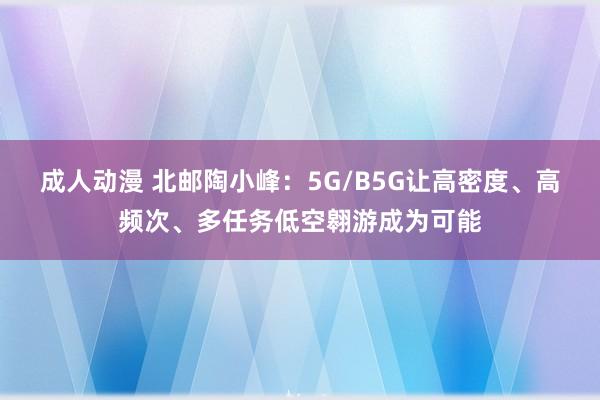 成人动漫 北邮陶小峰：5G/B5G让高密度、高频次、多任务低空翱游成为可能