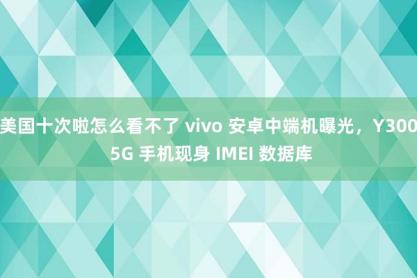 美国十次啦怎么看不了 vivo 安卓中端机曝光，Y300 5G 手机现身 IMEI 数据库