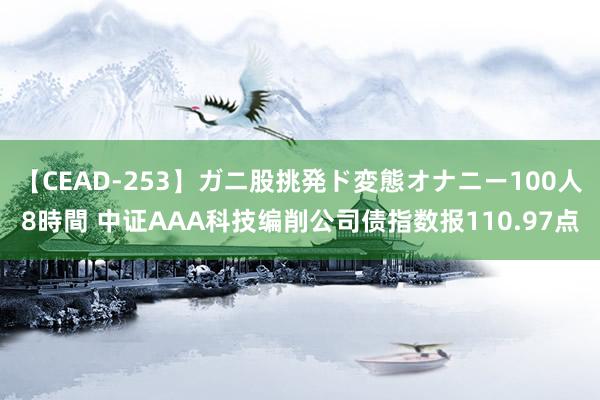 【CEAD-253】ガニ股挑発ド変態オナニー100人8時間 中证AAA科技编削公司债指数报110.97点