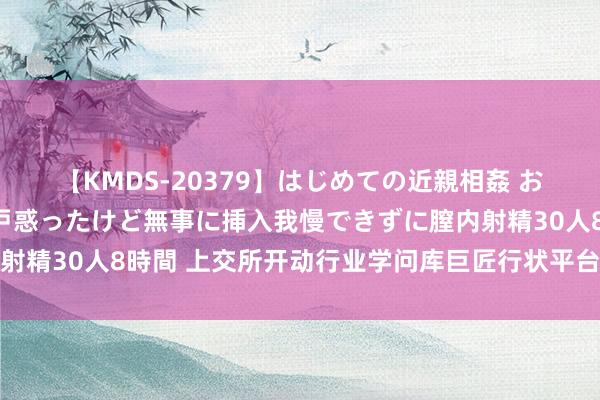 【KMDS-20379】はじめての近親相姦 おばさんの誘いに最初は戸惑ったけど無事に挿入我慢できずに膣内射精30人8時間 上交所开动行业学问库巨匠行状平台开导需求调研