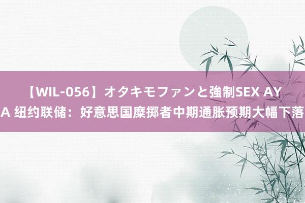 【WIL-056】オタキモファンと強制SEX AYA 纽约联储：好意思国糜掷者中期通胀预期大幅下落