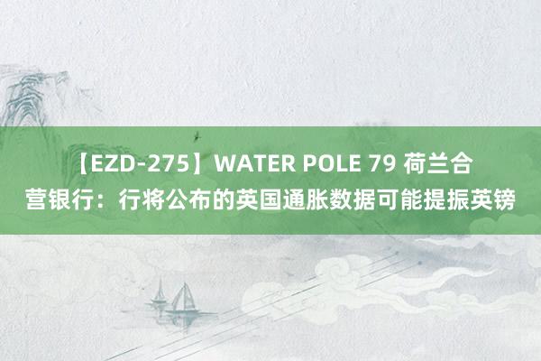 【EZD-275】WATER POLE 79 荷兰合营银行：行将公布的英国通胀数据可能提振英镑