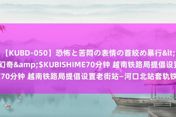 【KUBD-050】恐怖と苦悶の表情の首絞め暴行</a>2013-03-18幻奇&$KUBISHIME70分钟 越南铁路局提倡设置老街站—河口北站套轨铁路名目