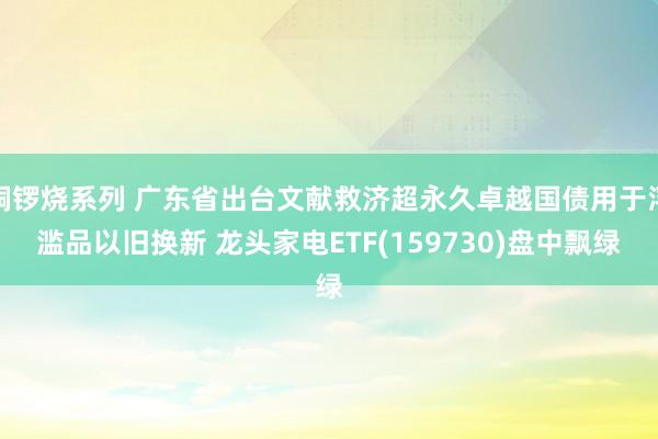 铜锣烧系列 广东省出台文献救济超永久卓越国债用于浮滥品以旧换新 龙头家电ETF(159730)盘中飘绿