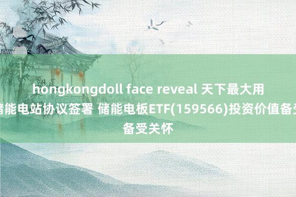 hongkongdoll face reveal 天下最大用户侧储能电站协议签署 储能电板ETF(159566)投资价值备受关怀