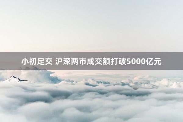 小初足交 沪深两市成交额打破5000亿元