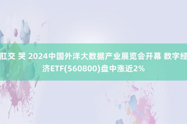 肛交 哭 2024中国外洋大数据产业展览会开幕 数字经济ETF(560800)盘中涨近2%