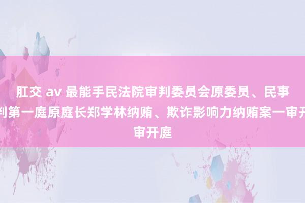 肛交 av 最能手民法院审判委员会原委员、民事审判第一庭原庭长郑学林纳贿、欺诈影响力纳贿案一审开庭