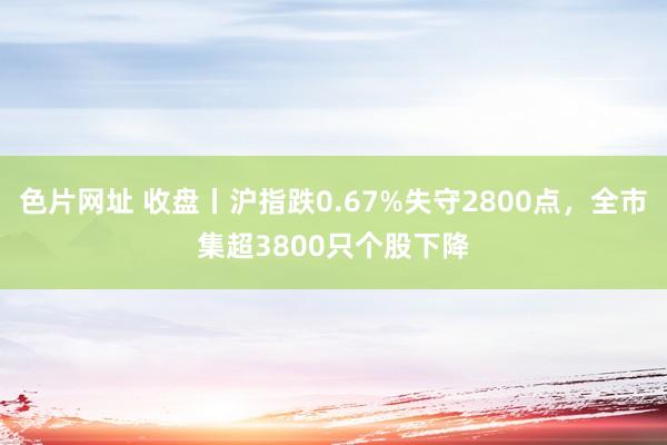 色片网址 收盘丨沪指跌0.67%失守2800点，全市集超3800只个股下降