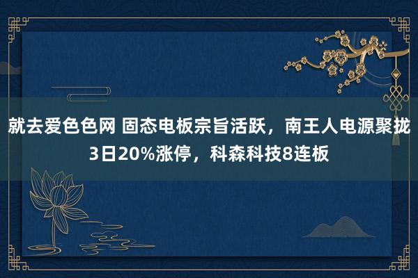 就去爱色色网 固态电板宗旨活跃，南王人电源聚拢3日20%涨停，科森科技8连板