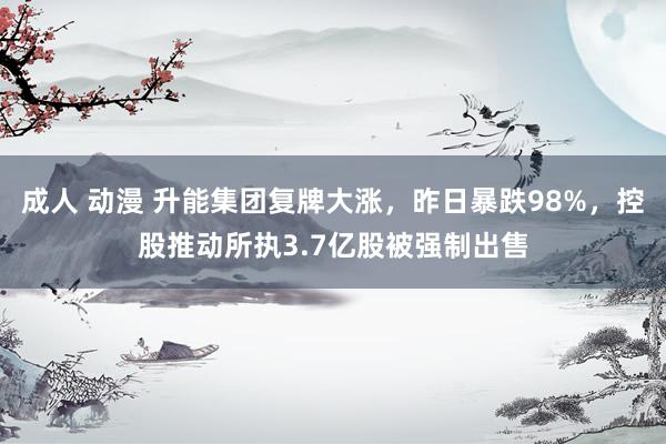 成人 动漫 升能集团复牌大涨，昨日暴跌98%，控股推动所执3.7亿股被强制出售