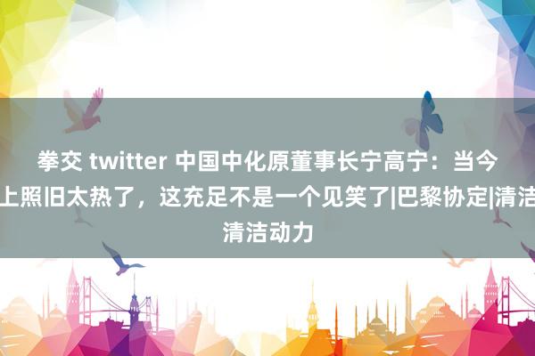 拳交 twitter 中国中化原董事长宁高宁：当今地球上照旧太热了，这充足不是一个见笑了|巴黎协定|清洁动力