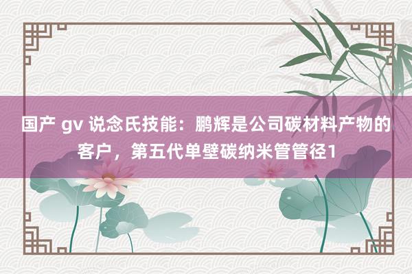 国产 gv 说念氏技能：鹏辉是公司碳材料产物的客户，第五代单壁碳纳米管管径1