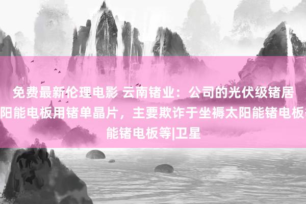 免费最新伦理电影 云南锗业：公司的光伏级锗居品为太阳能电板用锗单晶片，主要欺诈于坐褥太阳能锗电板等|卫星