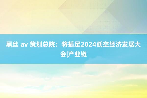 黑丝 av 策划总院：将插足2024低空经济发展大会|产业链