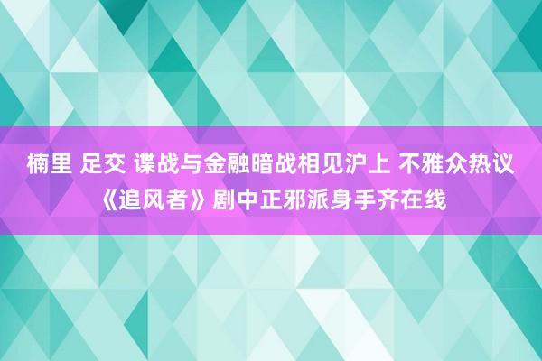 楠里 足交 谍战与金融暗战相见沪上 不雅众热议《追风者》剧中正邪派身手齐在线