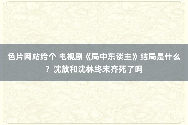 色片网站给个 电视剧《局中东谈主》结局是什么？沈放和沈林终末齐死了吗