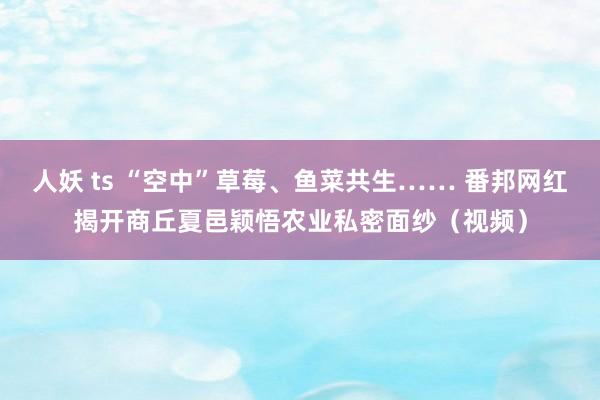 人妖 ts “空中”草莓、鱼菜共生…… 番邦网红揭开商丘夏邑颖悟农业私密面纱（视频）