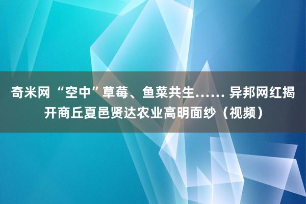 奇米网 “空中”草莓、鱼菜共生…… 异邦网红揭开商丘夏邑贤达农业高明面纱（视频）