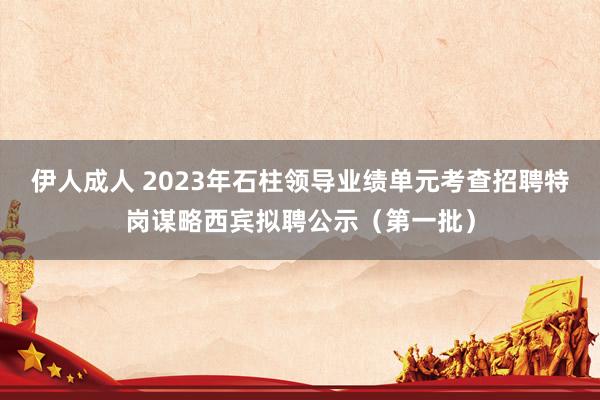 伊人成人 2023年石柱领导业绩单元考查招聘特岗谋略西宾拟聘公示（第一批）